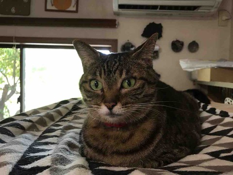 401ABBEF-4650-43B6-A1FC-CD8ECFB640FD