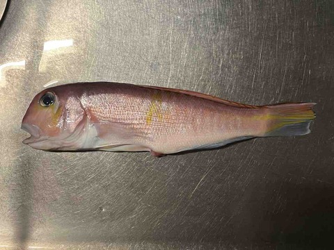 47107876-AC5E-4244-9996-E71710B47B19