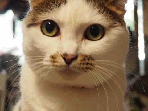 C0937D57-648B-4EFD-9CF6-B35173BC73DA