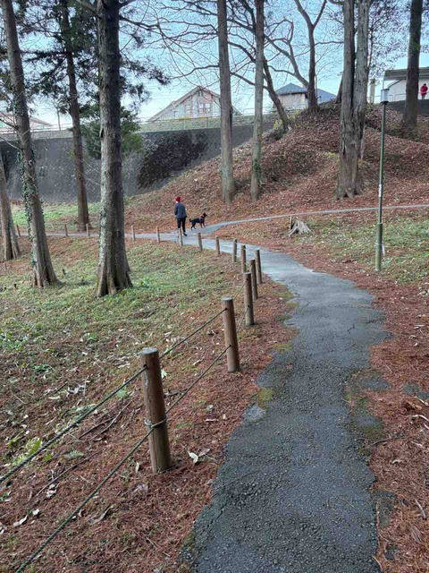 D3A32E83-5703-419A-BDD0-4D43911B3224