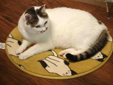 92ECC3FC-A21B-450A-99C4-1FF123302585