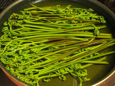 6D6F3B63-97F8-45FD-9490-C15B64D88520