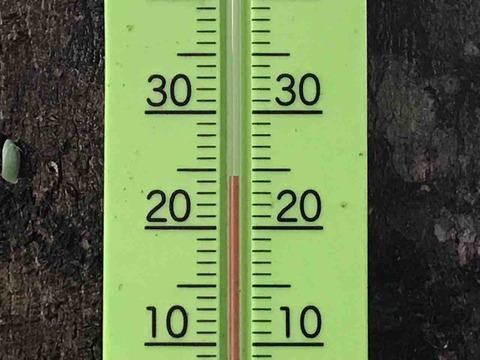 1D01C833-0D46-4AFF-8286-19A54A004800