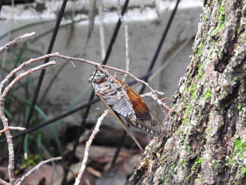 08A65CE9-C53D-4B4C-B89E-17D8A9AD6289