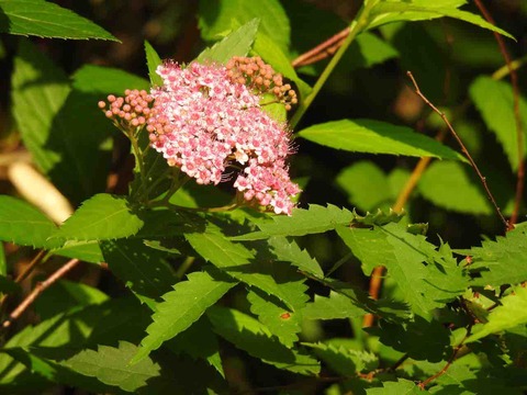 94D678F5-C35C-4988-B8FD-748628A57F98