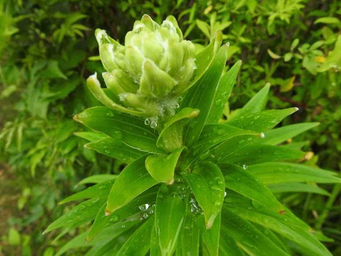 08EB337C-9FC3-46EC-BB2F-7BFC778C84BC