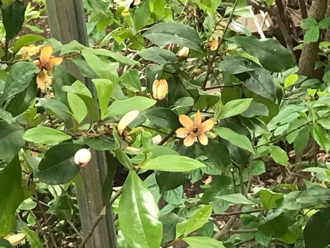 7BFB5D17-0D9E-4C21-AEB6-9F9004FCF69C