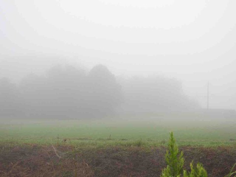 DBB8541D-C17C-4C55-A909-91A0AA2A1F24