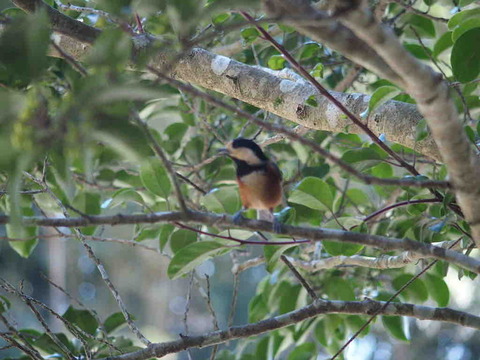 A9A370DC-113D-4DA6-BA5A-8623370C856F