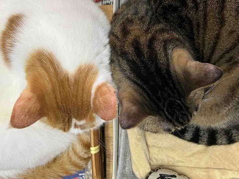 42246FFA-A1E2-45E3-88CD-1024ECBFE28B