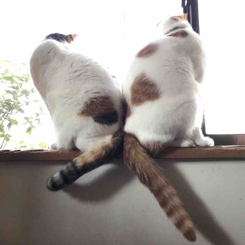 25B6F9A4-E00D-4481-A663-A2BDC48B773F