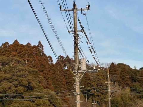 F825C81C-8D62-4105-B790-B25CAF18A83A