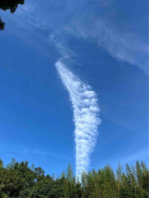 CC14DBFD-0262-44BE-B7C4-19044D660D51