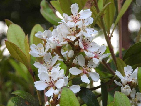 7F94F07E-81F1-49D4-93A0-083AF7039AED