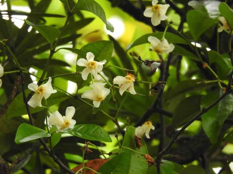 8228EA03-35A6-44F2-A666-36E0FDC2F44D