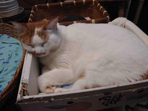 92BA9671-672B-46F5-8652-D6EF124F871B