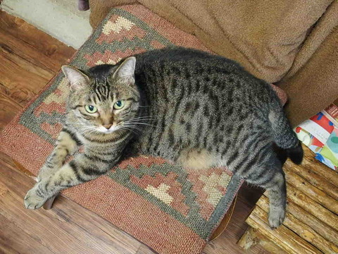 1B0E804B-6C58-48DB-B855-EB977BB06DC4