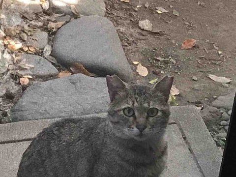 25526306-384F-4753-B2F5-FDF07B7A1320