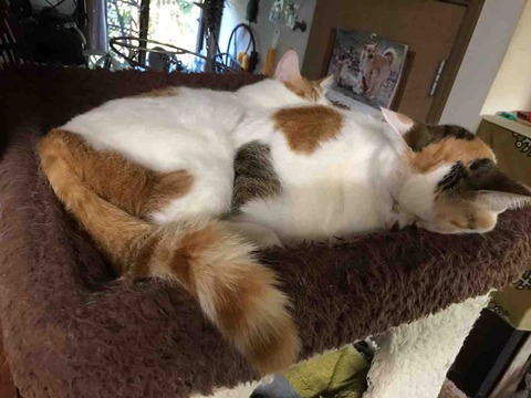 74F21388-08D0-49C8-8BB9-D52726FC2A01