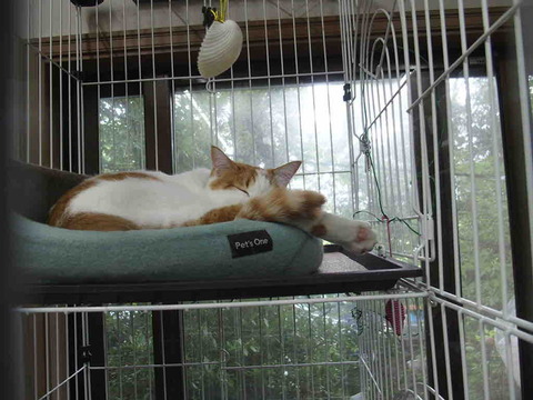 FDE4800F-A55C-47B3-A18A-6E60CC85ECAD