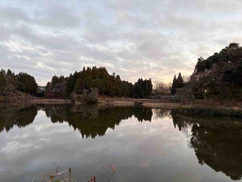 6C73C300-2BE8-4748-908D-50C00EF04630