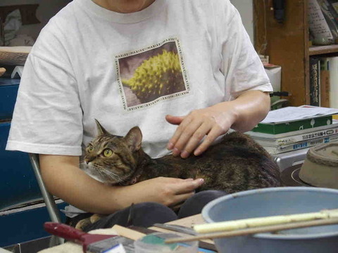 B01DA399-46C0-40BB-9662-1F9E7E279DA3