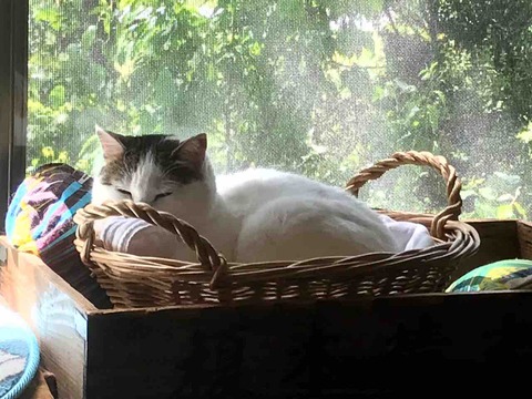 A0B5EDC3-A946-416B-948C-31B3675AE93A