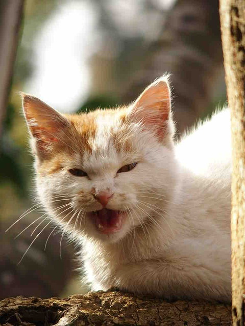 1FCA1E56-7667-41DB-902F-7A487EE21FCC