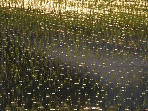 550E3B56-A144-4A3D-8D64-D1A012A66839