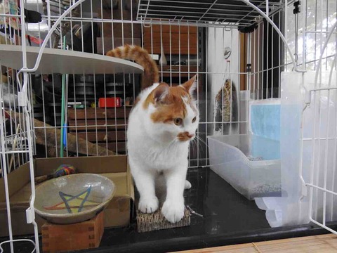 F8309595-8958-42E3-9238-463885FA21FB