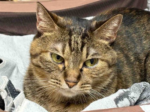 F8230C79-4214-43FF-B173-76BA197EE65B