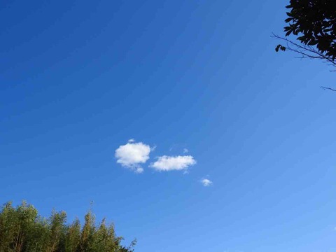 C89E1496-4F6E-4562-8EDA-1B87CE2A2297