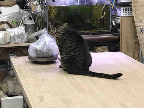 80E2384C-024B-477C-AEE3-D7B8E4932C12