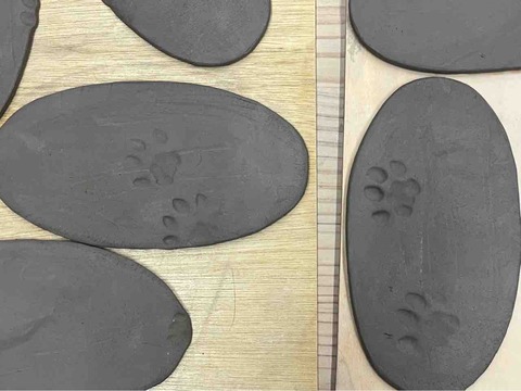 FA55421C-C8DD-4814-8145-75F7CB7C061F