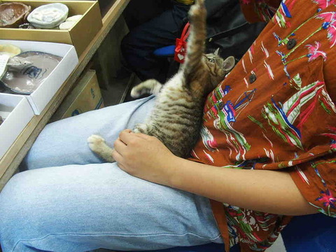 39CB86CB-4123-458D-AEEA-61B10AF7B39F