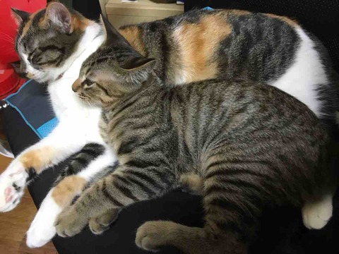 9283B6AE-E631-4609-B748-EE2F195401D3