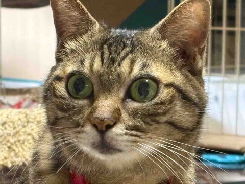 29F5C98B-87B6-4017-A6A2-E52D4D0D7F1D