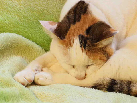 DE1474EF-A225-4F9E-A069-513B75E82C8D