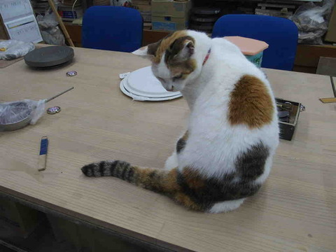 9BEBDDD2-CD58-4B50-8DB8-E4E0261185A9