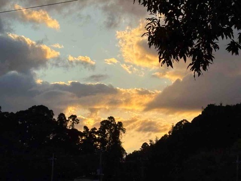 7C4777B2-F647-4339-B76E-3C8DC1AE1106