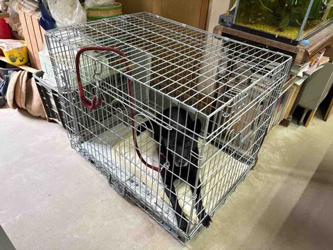 D83C42FD-59E7-4256-A9FF-CDBDAC497EBF