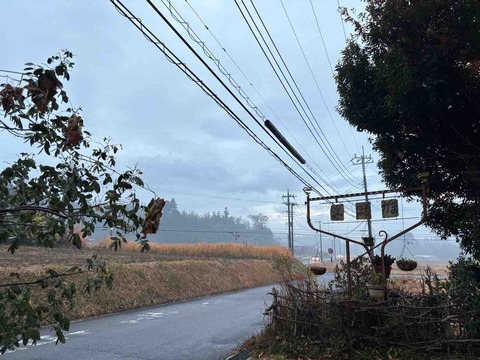 4ADB24CE-BF88-4987-9308-BE9AC18B8825