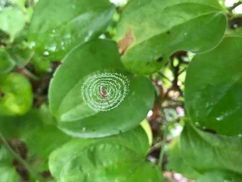 FC7EB08A-98BB-4871-8873-C220556443A1