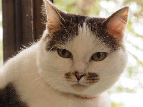 613B073D-C554-4E65-9F62-6D8A8D1F1964