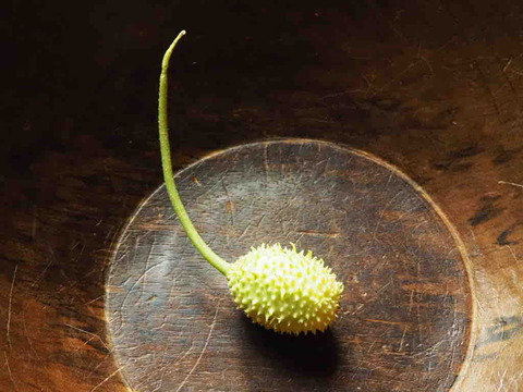 78A2AA59-ED07-40AE-9BD5-C50DE7A19A03