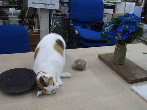 9802F9F2-C5C5-4856-B672-7D28AB6FB9A2