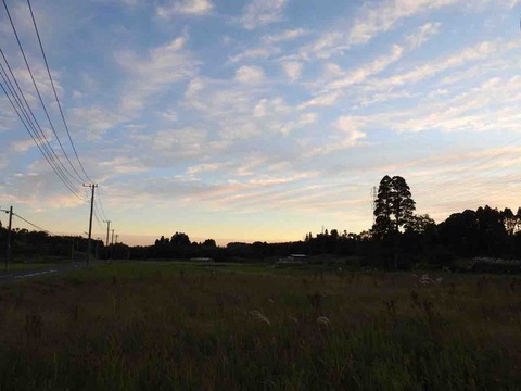 973B5F8F-5F5A-4893-86ED-C71ACA4FC5BA