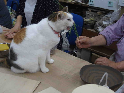 BE9987C6-2540-435D-8569-D18323CB1EAD