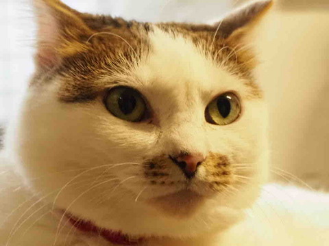 B7496BD0-73F9-49BE-A2CF-B640F269AAFB