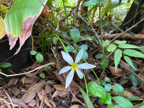 B6F77964-AB7C-4096-AAEF-1FA112CF4780